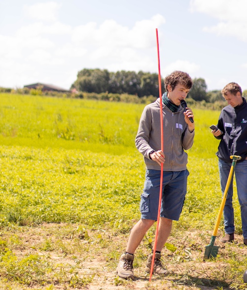 le chanvre peut atteindre 2m, ici représenté par ce baton rouge