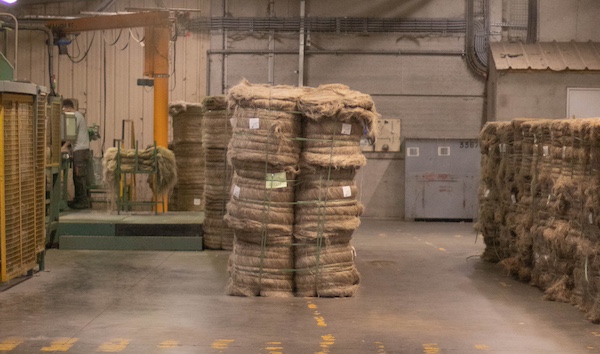 Les ballots de fibre de lin au sein de l'usine de teillage en Normandie