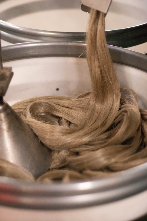 le lin normand teillé localement