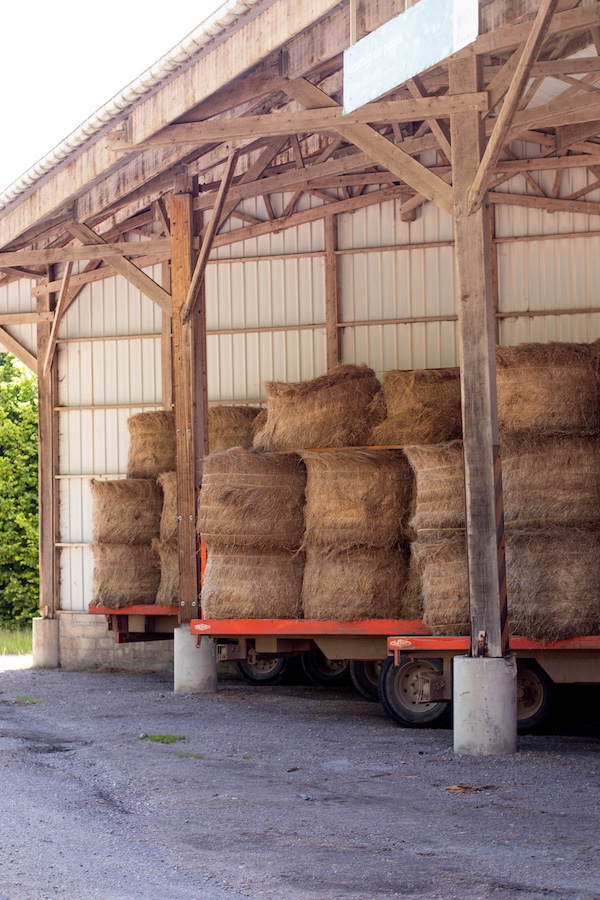 Ballots de lin cultivé en normandie