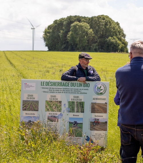 La visite du champ de lin par les arigulteurs bio